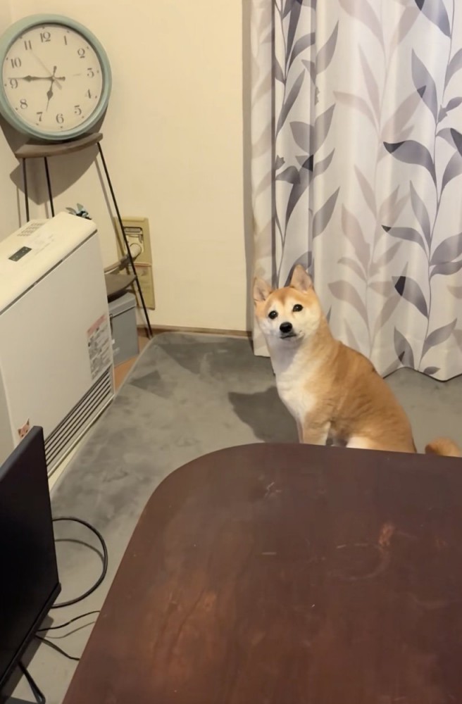 「暖かくないんですけど…」