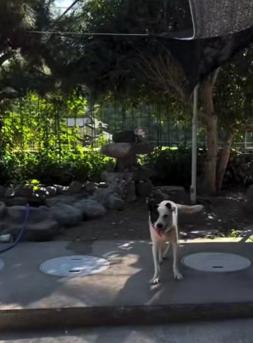 幸せそうな表情に♪