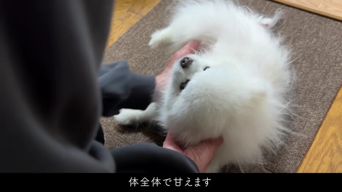 素敵な冬休みになりそう！！