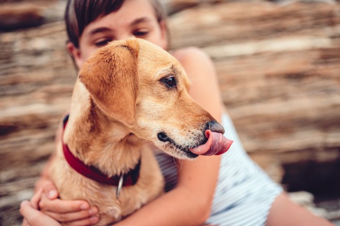 抱っこされ舌を出す犬