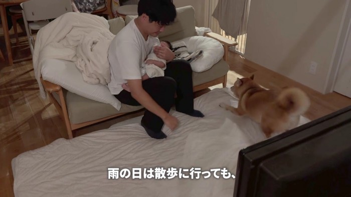 楽しくてはしゃぐむぎちゃん