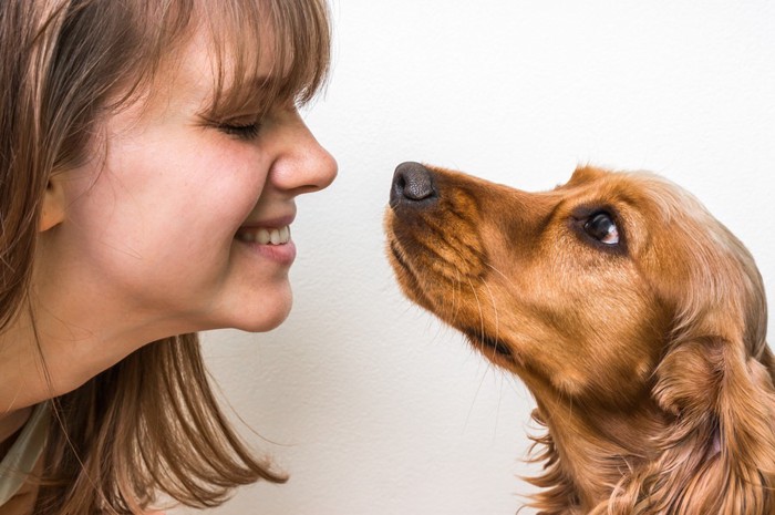 女性と犬