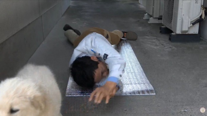 最後はやっぱり放置
