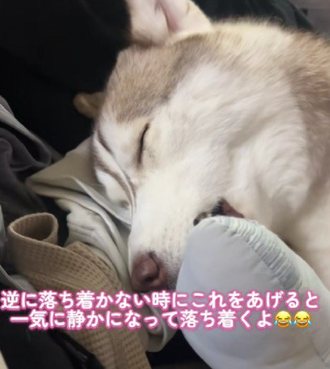 眠れないときも一気に静かになる