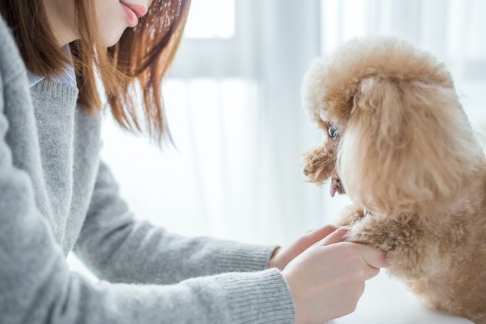 犬の足を掴んで見つめる女性