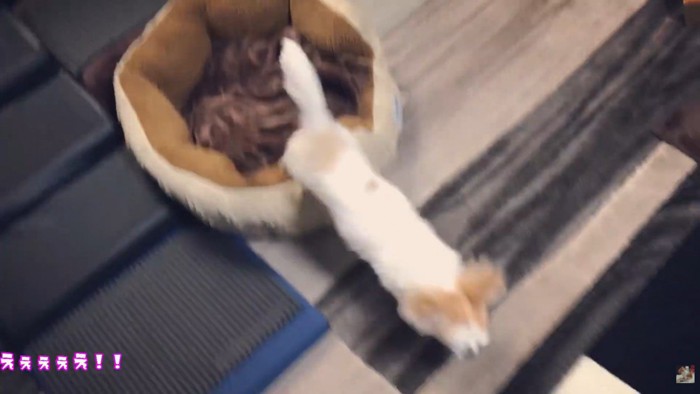 「置いて行かれるのは嫌!」