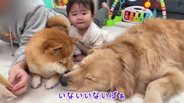 「寝ちゃったか…」
