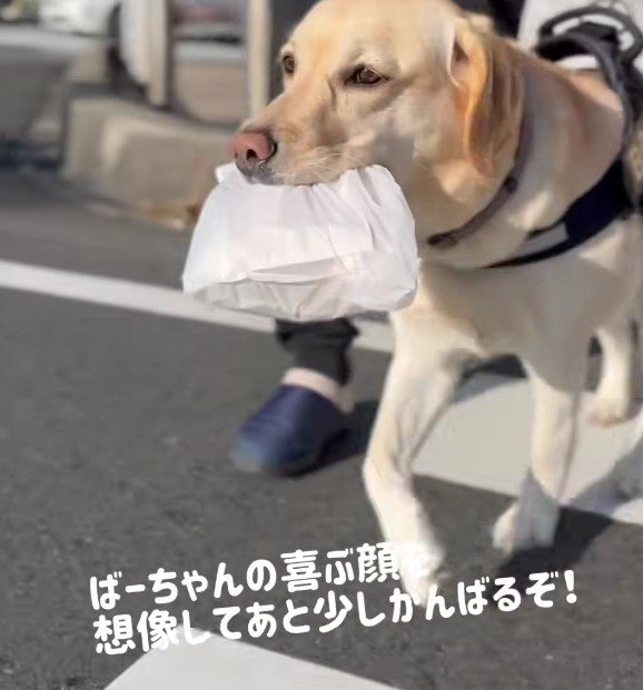 おばあちゃんの笑顔が見たい