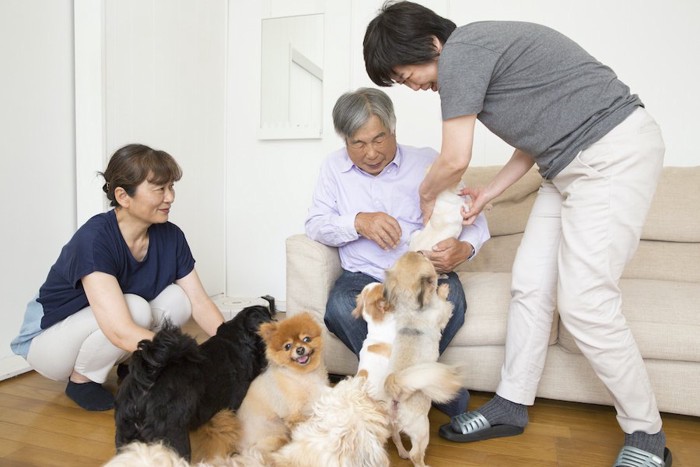 たくさんの犬たちを可愛がっている家族