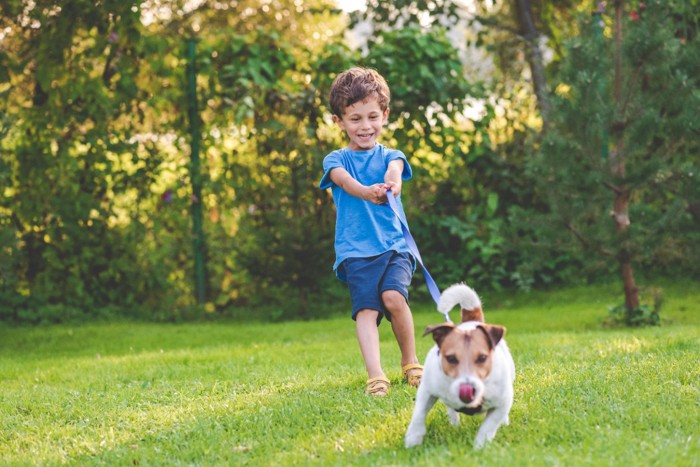 散歩中に犬が男の子を引っ張る