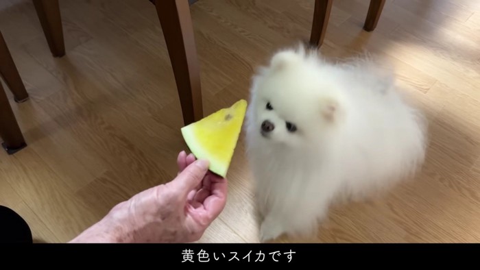 帰省したことを実感♡