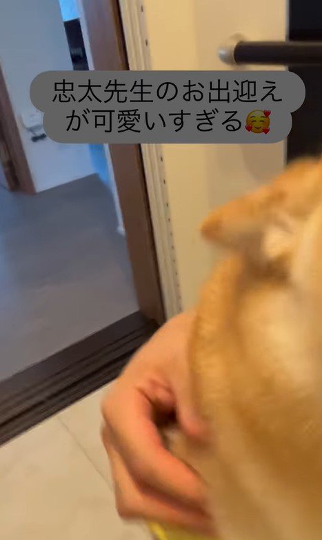 忠太くんの熱烈歓迎5