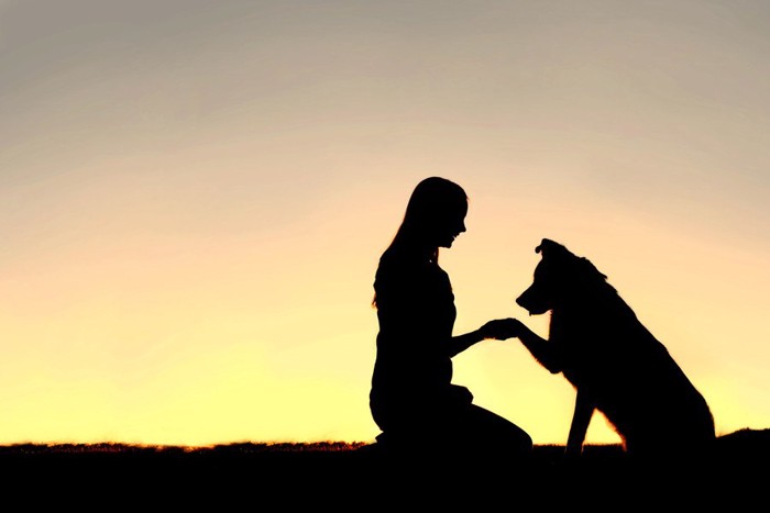 犬と女性のシルエット