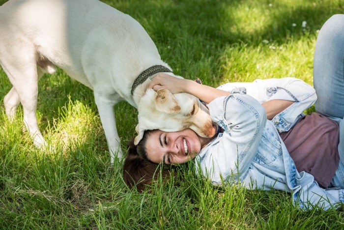 女性にまとわりつく犬