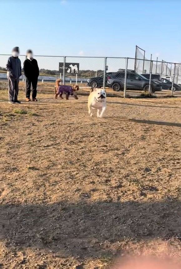 走るのが遅いぱせり君