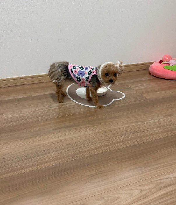 小さいけれど存在感抜群♪