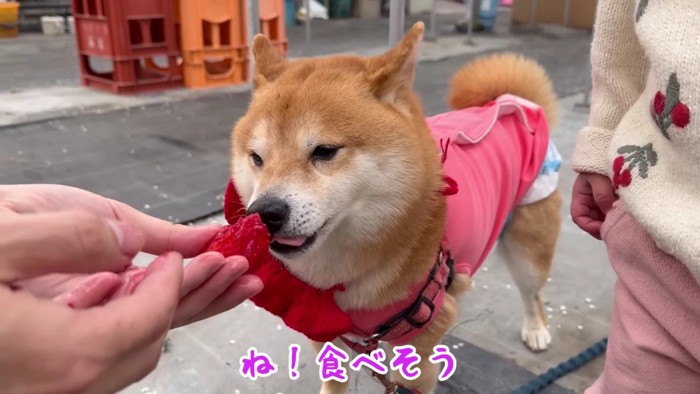 うにくんが食べた♡