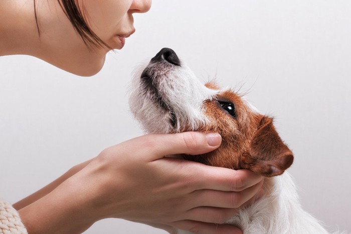 人の犬の口元を近づける、ジャックラッセルテリア