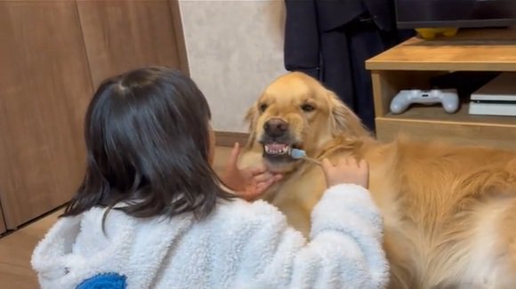 歯を出すルークくん