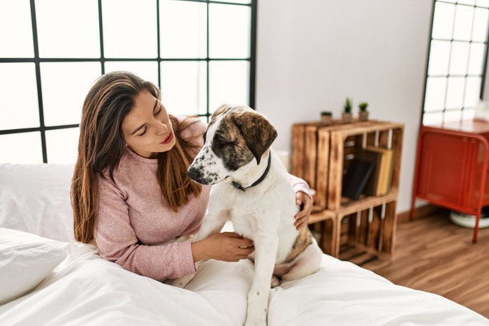 ベッドの上の犬と女性