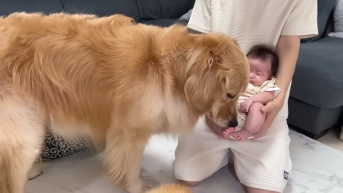 赤ちゃんに近づくおからちゃん