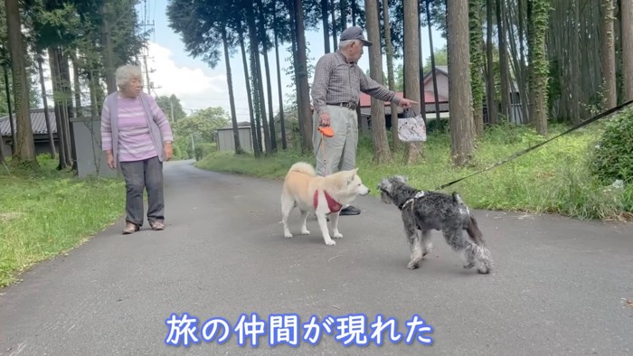 仲間に遭遇！