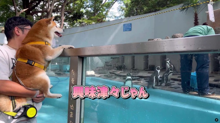 愛らしい姿にホッコリ