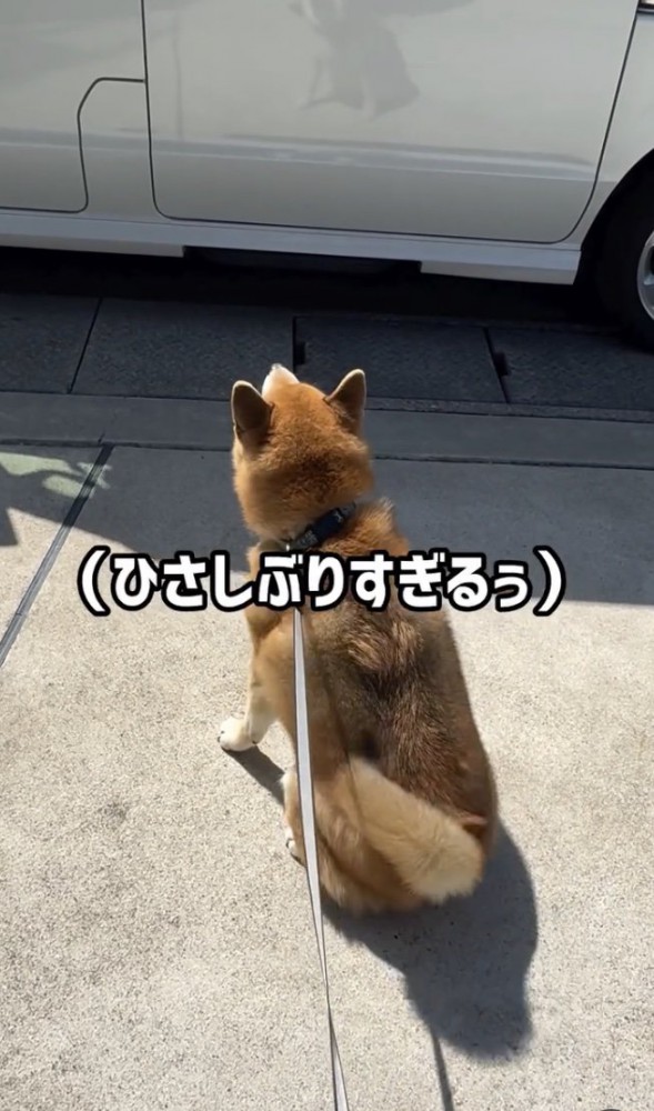 ソワソワ…