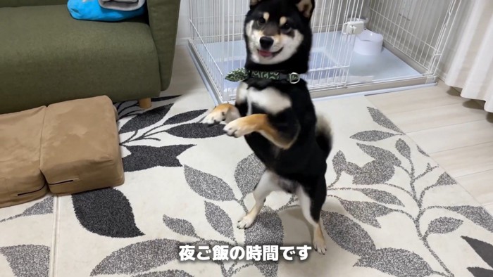 ご飯の時間はウキウキ♪