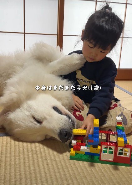 あたたかな空間にホッコリ