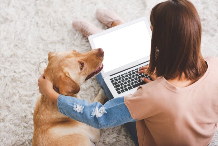 パソコンで調べ物をする女性を見守る犬