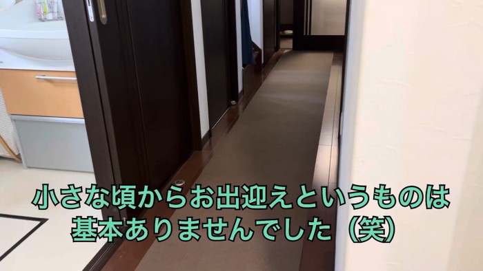 帰宅してもお出迎えナシ
