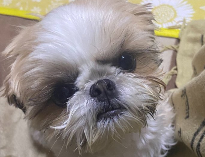 表情豊か