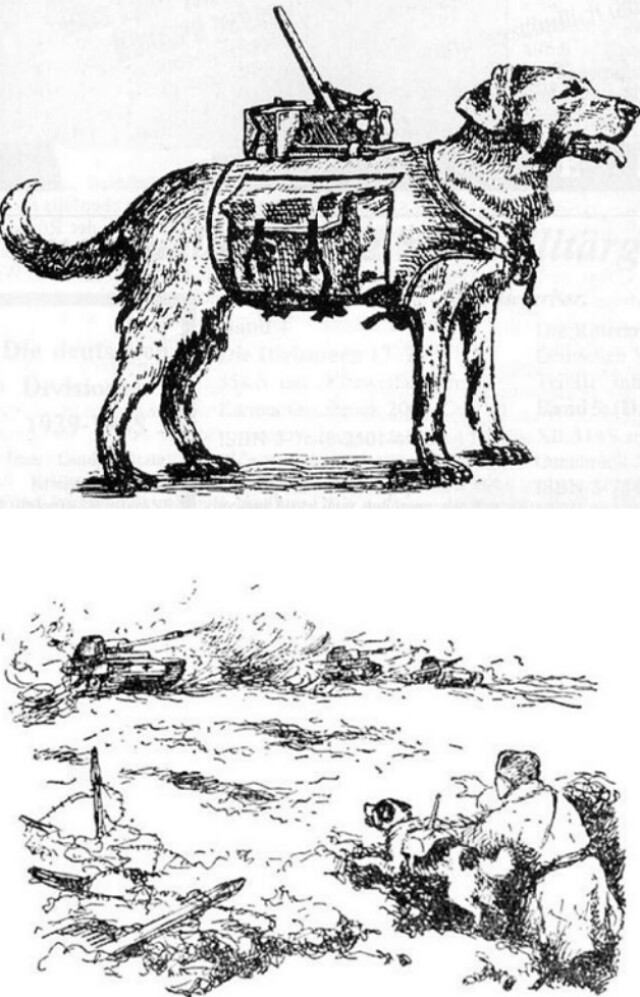 特攻犬と調教兵士