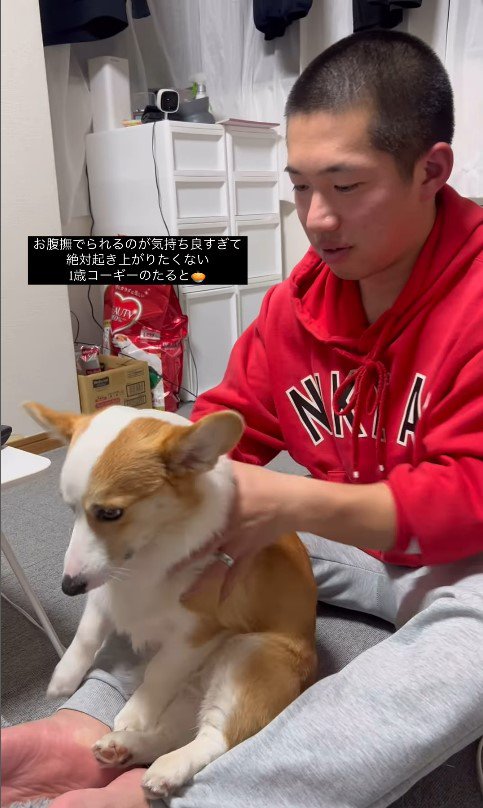 撫でられたいたるとちゃんVSパパさん2