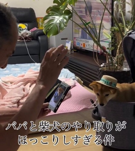 犬に手を振る人1