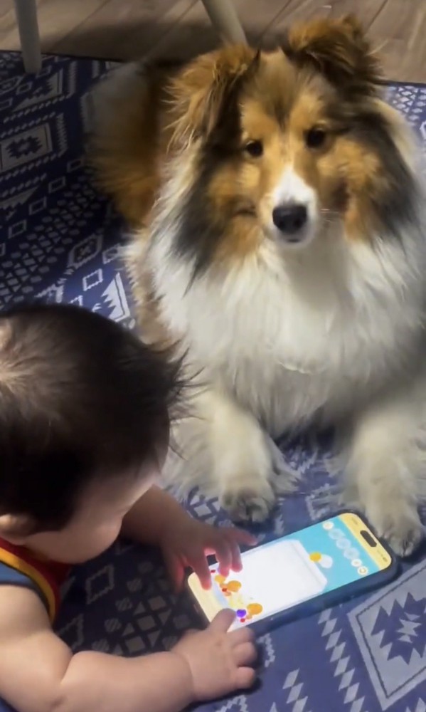 赤ちゃんの隣で伏せる犬