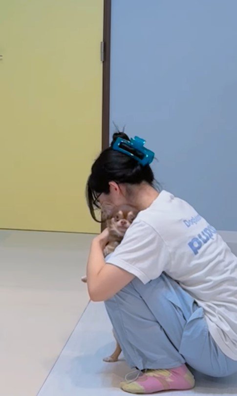 ショコラちゃんと仲良くなるまで8