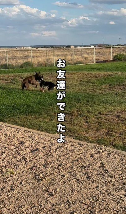 初めての友達
