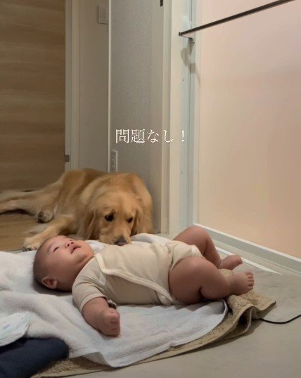 お兄ちゃんのような姿にホッコリ