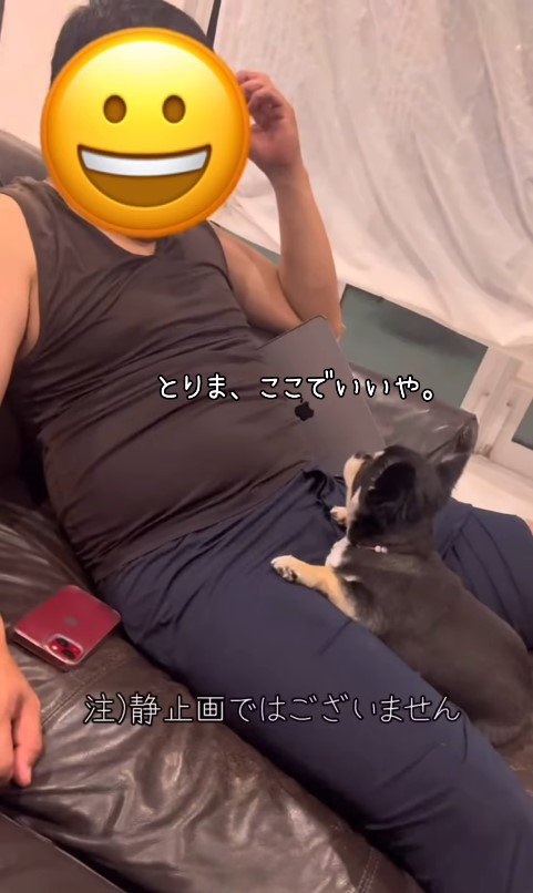 ここまるちゃんの寂しい時の行動⑩