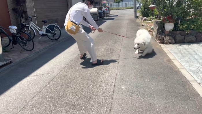 パパに引き戻されるも…