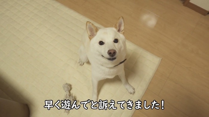 「パパ、一緒に遊んでよ!」