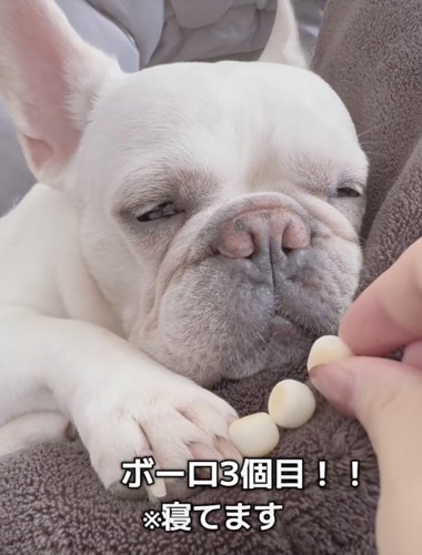 増えていくボーロ
