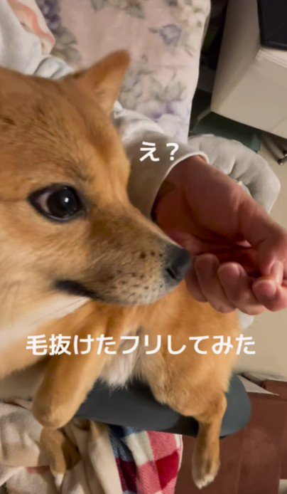 「え…？」