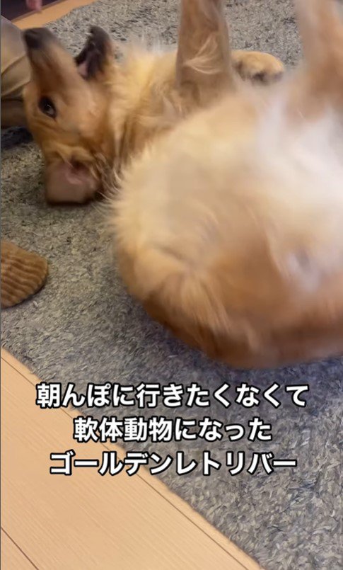 軟体動物化するナラちゃん6