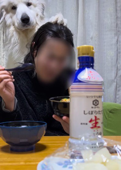 「ご飯、ちょーだい」