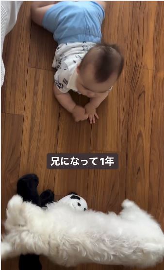 お子さんもQ太郎くんが気になってるみたい