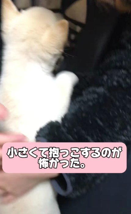 抱っこも怖い