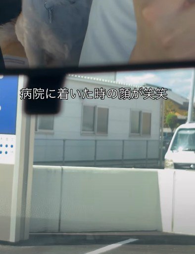 動物病院にやってきた